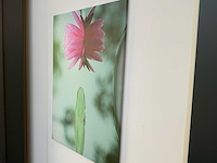 Canvas (2x) - afbeelding 2 van  6