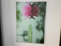 Canvas (2x) - afbeelding 3 van  6