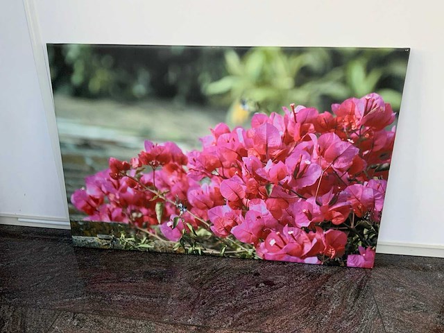 Canvas (2x) - afbeelding 4 van  6