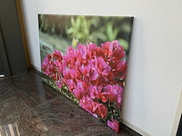 Canvas (2x) - afbeelding 5 van  6