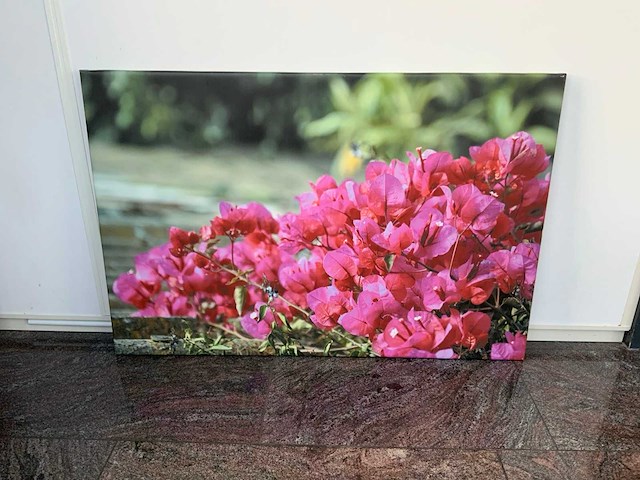 Canvas (2x) - afbeelding 6 van  6