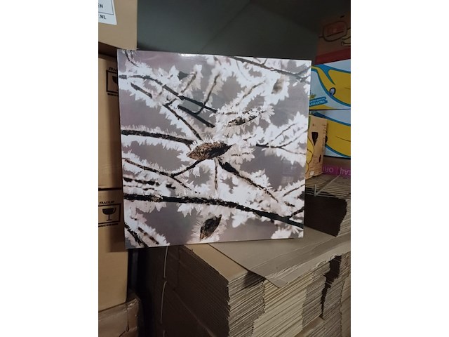 Canvas 50x50 10 stuks - afbeelding 1 van  3