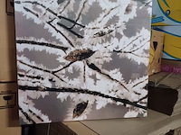 Canvas 50x50 5 stuks - afbeelding 1 van  3