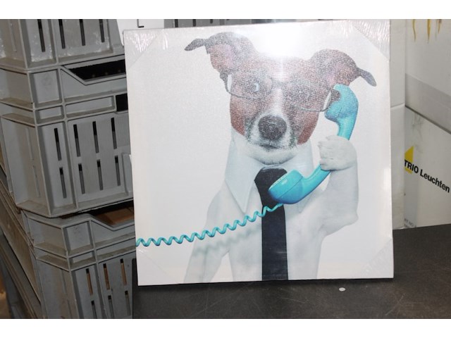 Canvas hond met bril 18 stuks - afbeelding 1 van  3