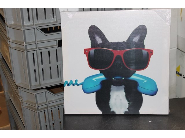 Canvas hond met zonnebril 19 stuks - afbeelding 3 van  3