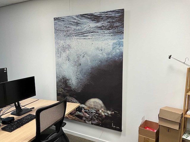 Canvas wanddecoratie (2x) - afbeelding 3 van  3