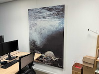 Canvas wanddecoratie (2x) - afbeelding 3 van  3