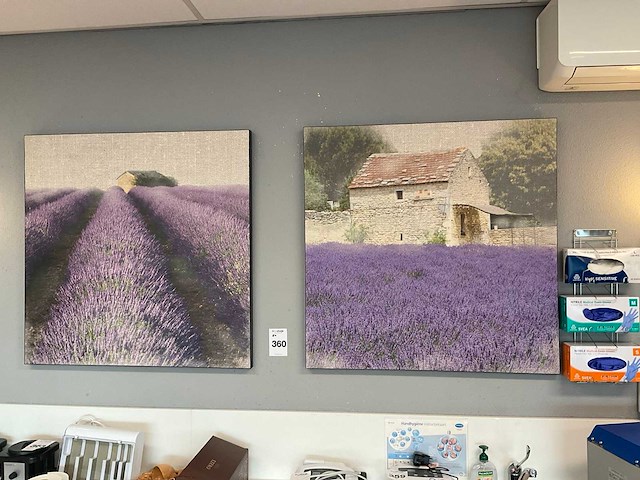 Canvas wanddecoratie (2x) - afbeelding 1 van  3