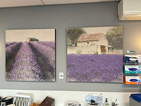 Canvas wanddecoratie (2x) - afbeelding 1 van  3