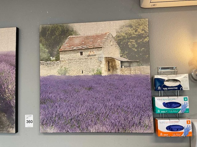 Canvas wanddecoratie (2x) - afbeelding 2 van  3