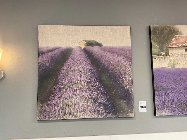 Canvas wanddecoratie (2x) - afbeelding 3 van  3