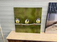 Canvas wanddecoratie (4x) - afbeelding 2 van  5