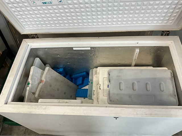 Caravali - vriezer - afbeelding 4 van  7