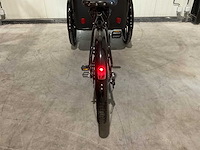 Cargobike - delight - elecelectrische bakfiets - bakfiets - afbeelding 8 van  22