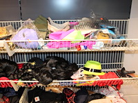Carnavals accessoires in dubbel wandrek w.o. pruiken, panty's, rokjes, papier en blindengeleidenstokken. - afbeelding 3 van  5