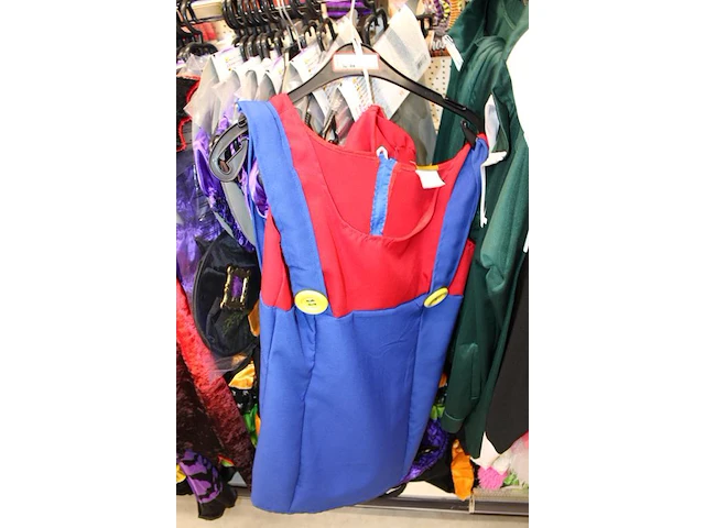 Carnavalskleding aan zevendelige wandstelling, ruim 240 kledingstukken, brillen, bretels, tasjes, panty's, ... - afbeelding 3 van  15