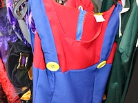 Carnavalskleding aan zevendelige wandstelling, ruim 240 kledingstukken, brillen, bretels, tasjes, panty's, ... - afbeelding 3 van  15