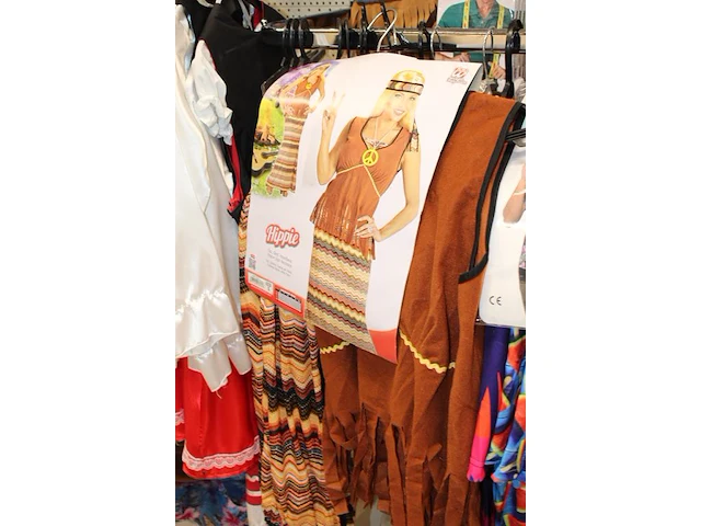 Carnavalskleding aan zevendelige wandstelling, ruim 240 kledingstukken, brillen, bretels, tasjes, panty's, ... - afbeelding 7 van  15