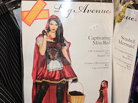 Carnavalskleding aan zevendelige wandstelling, ruim 240 kledingstukken w.o. brillen, bretels, tasjes, panty... - afbeelding 5 van  18