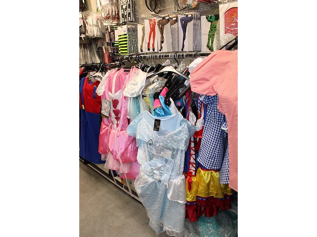 Carnavalskleding aan zevendelige wandstelling, ruim 240 kledingstukken w.o. brillen, bretels, tasjes, panty... - afbeelding 15 van  18