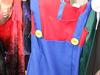 Carnavalskleding aan zevendelige wandstelling, ruim 240 kledingstukken w.o. brillen, bretels, tasjes, panty... - afbeelding 18 van  18