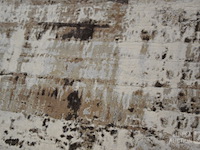 Carpet - afbeelding 3 van  5