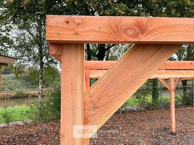 Carport/overkapping-hoog, afm b310xd600xh285 cm - afbeelding 5 van  5