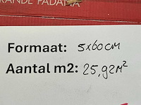Casalgrande padana - 6 x 60 cm wandtegel 25,92 m2 - afbeelding 3 van  4