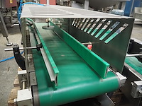 Case packing systems - afbeelding 29 van  40