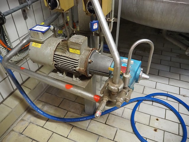 Cat pumps - afbeelding 1 van  4