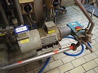 Cat pumps - afbeelding 2 van  4