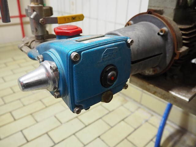 Cat pumps - afbeelding 4 van  4