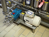 Cat pumps - afbeelding 1 van  7