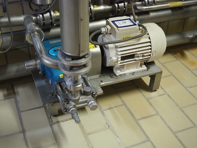 Cat pumps - afbeelding 2 van  7