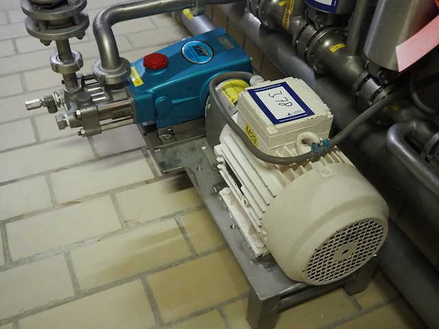 Cat pumps - afbeelding 4 van  7