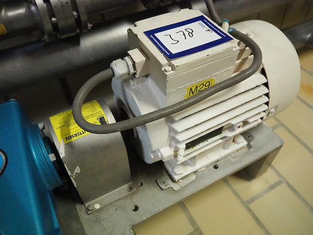 Cat pumps - afbeelding 7 van  7