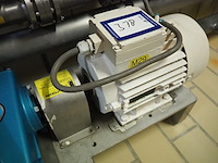 Cat pumps - afbeelding 7 van  7