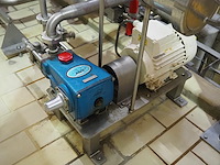 Cat pumps - afbeelding 3 van  6