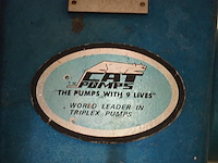 Cat pumps - afbeelding 5 van  6