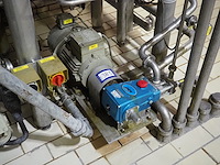 Cat pumps - afbeelding 1 van  5