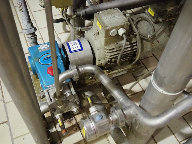 Cat pumps - afbeelding 2 van  5