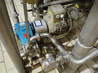 Cat pumps - afbeelding 2 van  5