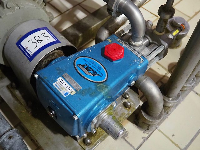 Cat pumps - afbeelding 3 van  5