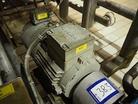 Cat pumps - afbeelding 5 van  5