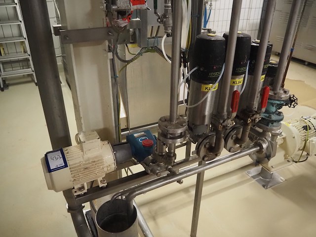 Cat pumps - afbeelding 1 van  8