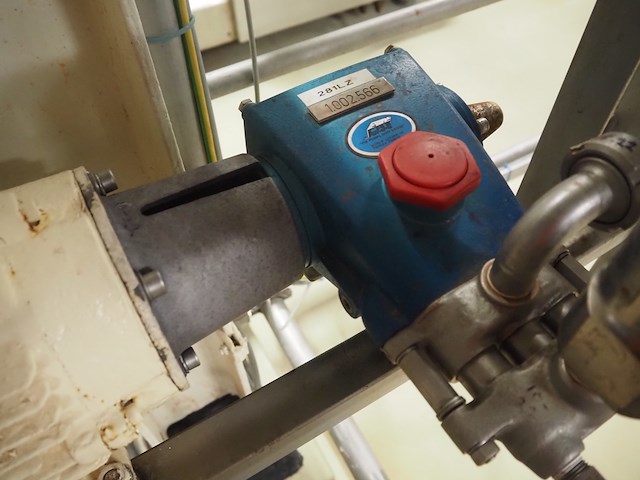 Cat pumps - afbeelding 4 van  8