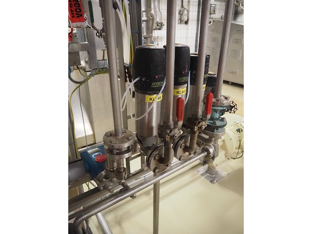 Cat pumps - afbeelding 6 van  8