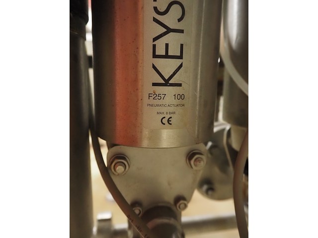 Cat pumps - afbeelding 8 van  8