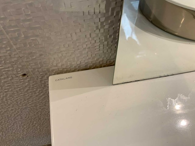 Catalano - piano ceramico - waskom op blad - afbeelding 5 van  5