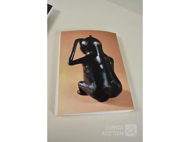 Catalogussen : thema "kunst" - afbeelding 14 van  21